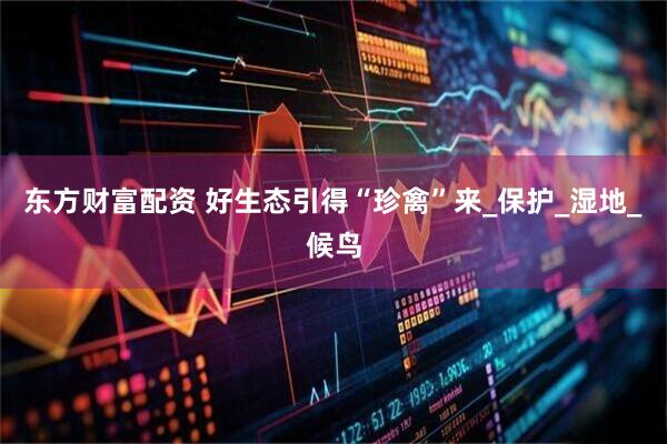 东方财富配资 好生态引得“珍禽”来_保护_湿地_候鸟