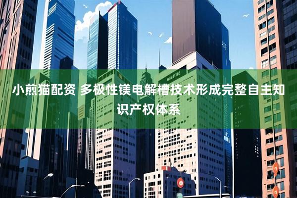 小煎猫配资 多极性镁电解槽技术形成完整自主知识产权体系