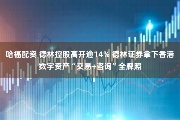 哈福配资 德林控股高开逾14% 德林证券拿下香港数字资产“交易+咨询”全牌照